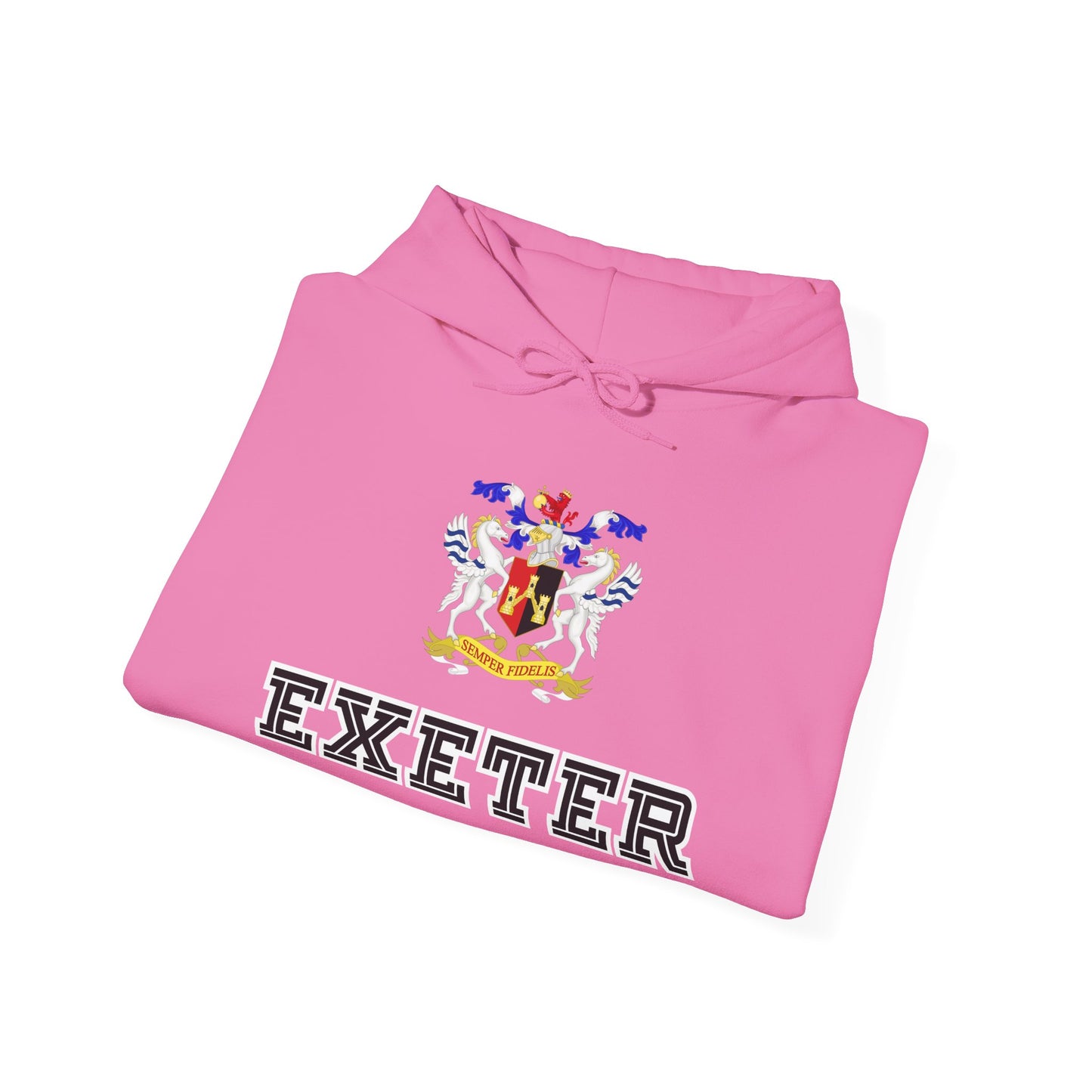 Exeter Crest Unisex Heavy Blend Hooded Sweatshirt